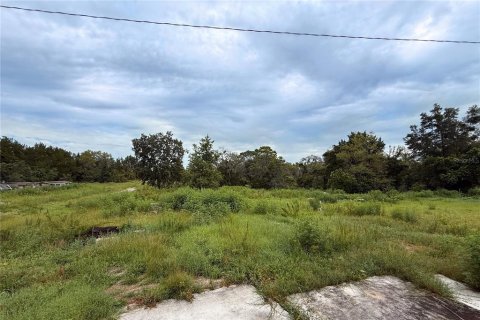 Land in Spring Hill, Florida № 2379004 - photo 4