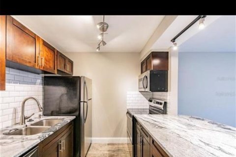 Appartement à louer à Tampa, Floride: 1 chambre, 65.22 m2 № 1882707 - photo 2