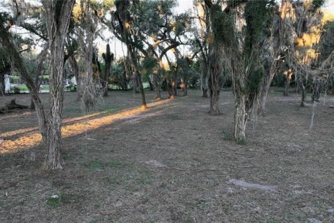 Terreno en venta en Seffner, Florida № 2099483 - foto 5