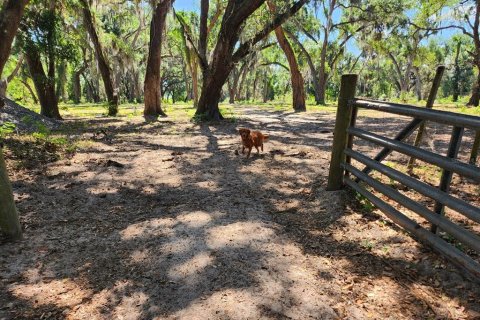 Terreno en venta en Seffner, Florida № 2099483 - foto 15