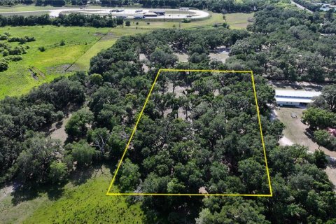 Terreno en Seffner, Florida № 2099483