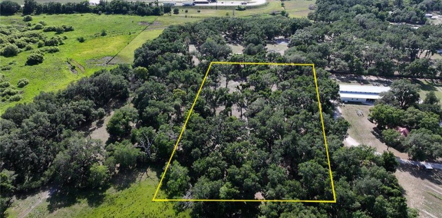 Terreno en Seffner, Florida № 2099483