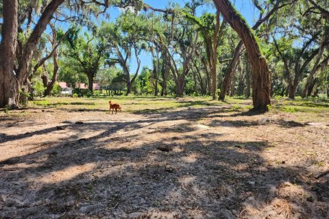 Terreno en venta en Seffner, Florida № 2099483 - foto 13