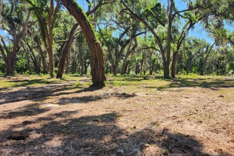 Terreno en venta en Seffner, Florida № 2099483 - foto 4