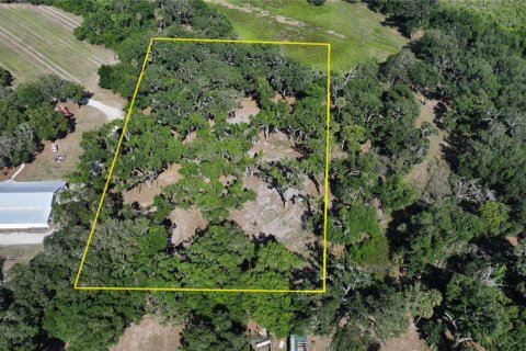 Terreno en venta en Seffner, Florida № 2099483 - foto 6