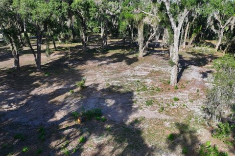Terreno en venta en Seffner, Florida № 2099483 - foto 11