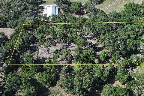 Terreno en venta en Seffner, Florida № 2099483 - foto 8