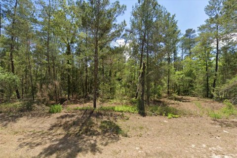 Terrain à vendre à Homosassa, Floride № 2161771 - photo 2