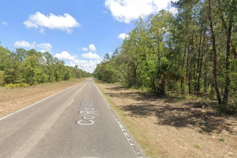 Terrain à vendre à Homosassa, Floride № 2161771 - photo 4