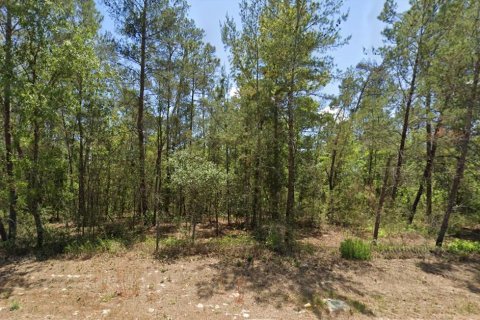 Terrain à Homosassa, Floride № 2161771