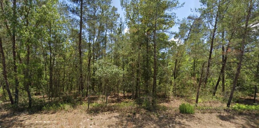 Terrain à Homosassa, Floride № 2161771