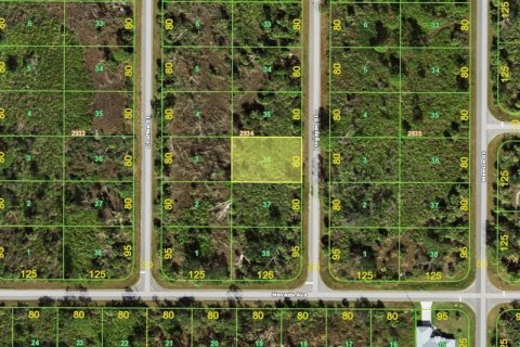 Land in Port Charlotte, Florida № 2161094