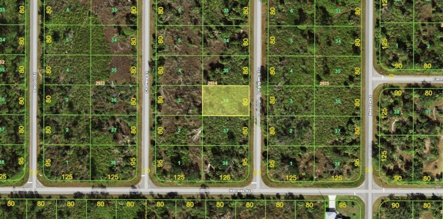 Land in Port Charlotte, Florida № 2161094