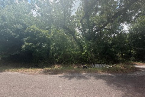 Terreno en venta en Plant City, Florida № 2109664 - foto 2