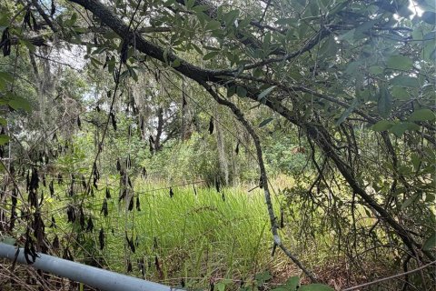 Terreno en venta en Plant City, Florida № 2109664 - foto 3