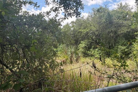 Terreno en venta en Plant City, Florida № 2109664 - foto 5