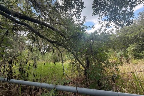 Terreno en venta en Plant City, Florida № 2109664 - foto 4