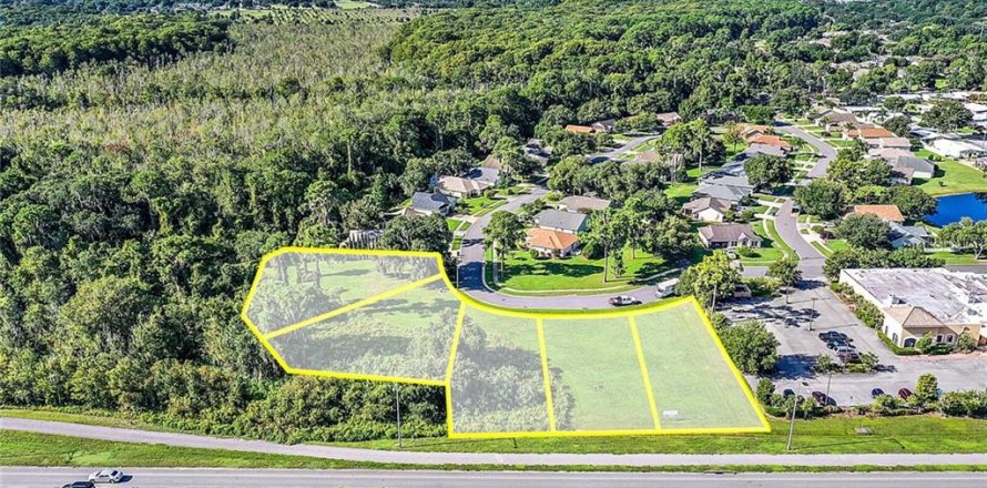 Land in Tavares, Florida № 213499