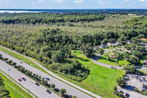 Land in Tavares, Florida № 213499 - photo 3