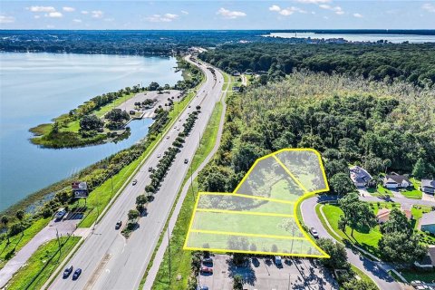 Land in Tavares, Florida № 213499 - photo 4