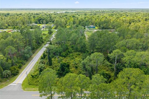 Terrain à Eustis, Floride № 2105422
