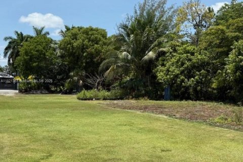 Commercial property in Homestead, Florida № 1781509 - photo 1