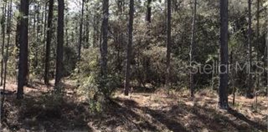 Land in Wildwood, Florida № 1876982