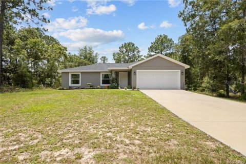 Casa en Dunnellon, Florida 3 dormitorios, 129.41 m2 № 2209561