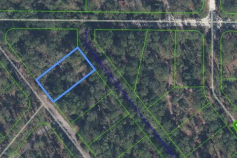 Land in Sebring, Florida № 2161799 - photo 2