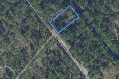 Land in Sebring, Florida № 2161799 - photo 4