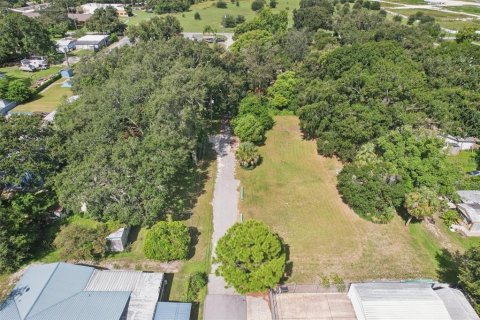 Terreno en venta en Winter Haven, Florida № 2330716 - foto 8