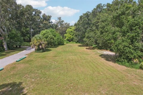 Terreno en venta en Winter Haven, Florida № 2330716 - foto 2