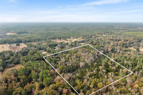 Land in Hawthorne, Florida № 2203002