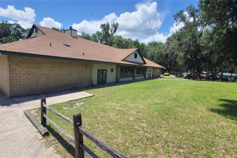 Land in Salt Springs, Florida № 2105472 - photo 10