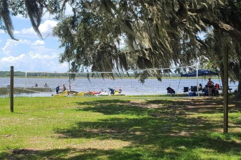 Land in Salt Springs, Florida № 2105472 - photo 17
