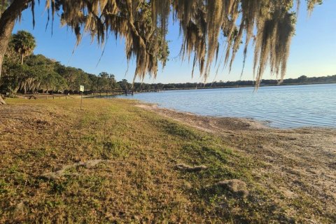 Land in Salt Springs, Florida № 2105472 - photo 22