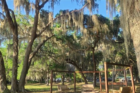 Land in Salt Springs, Florida № 2105472 - photo 15