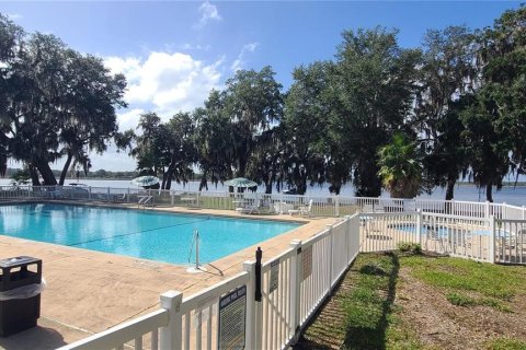 Land in Salt Springs, Florida № 2105472 - photo 8
