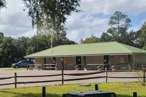 Land in Salt Springs, Florida № 2105472 - photo 14