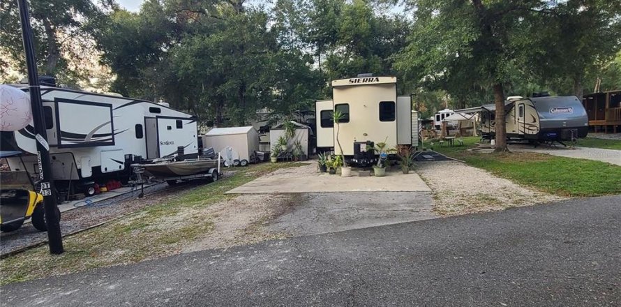 Land in Salt Springs, Florida № 2105472