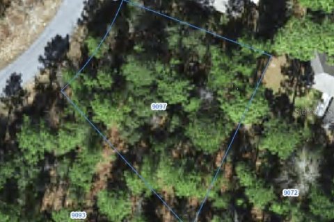Land in Citrus Springs, Florida № 2388273