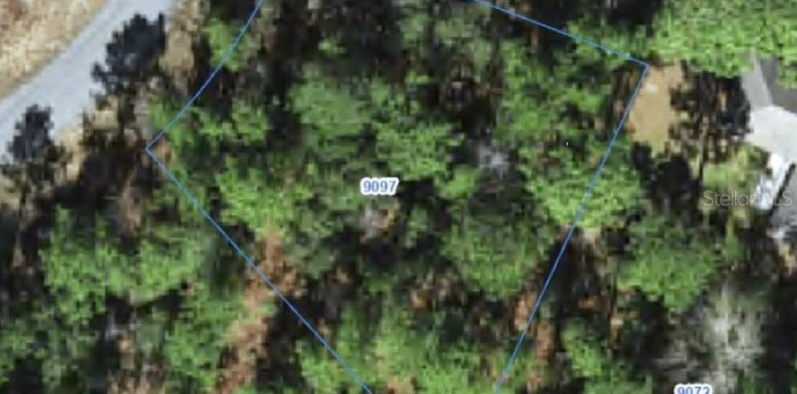 Land in Citrus Springs, Florida № 2388273
