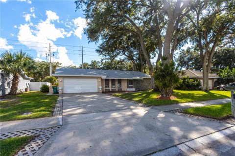 Casa en Palm Harbor, Florida 2 dormitorios, 166.67 m2 № 2386277