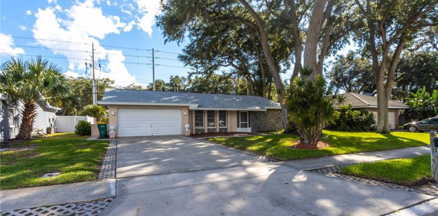 Casa en Palm Harbor, Florida 2 dormitorios, 166.67 m2 № 2386277