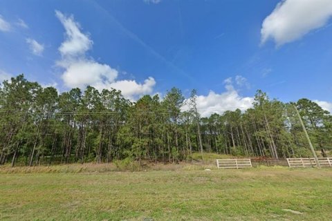 Land in Polk City, Florida № 2162204 - photo 2
