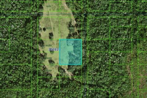 Terreno en Polk City, Florida № 2162204