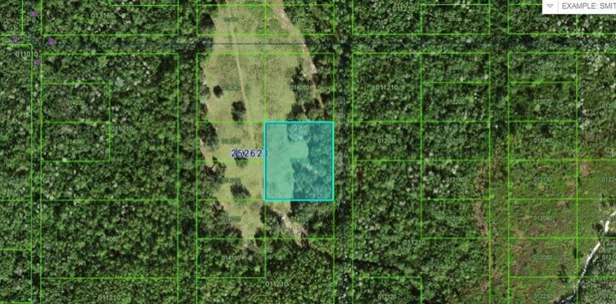 Land in Polk City, Florida № 2162204