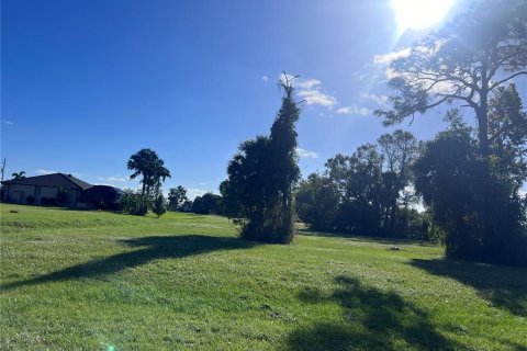Land in Punta Gorda, Florida № 2163874 - photo 3
