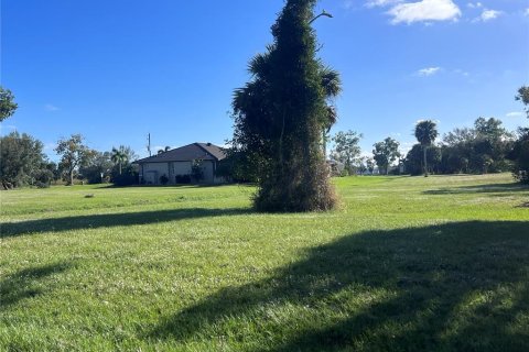 Land in Punta Gorda, Florida № 2163874