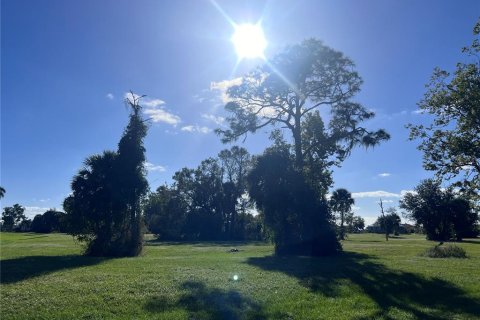 Land in Punta Gorda, Florida № 2163874 - photo 2